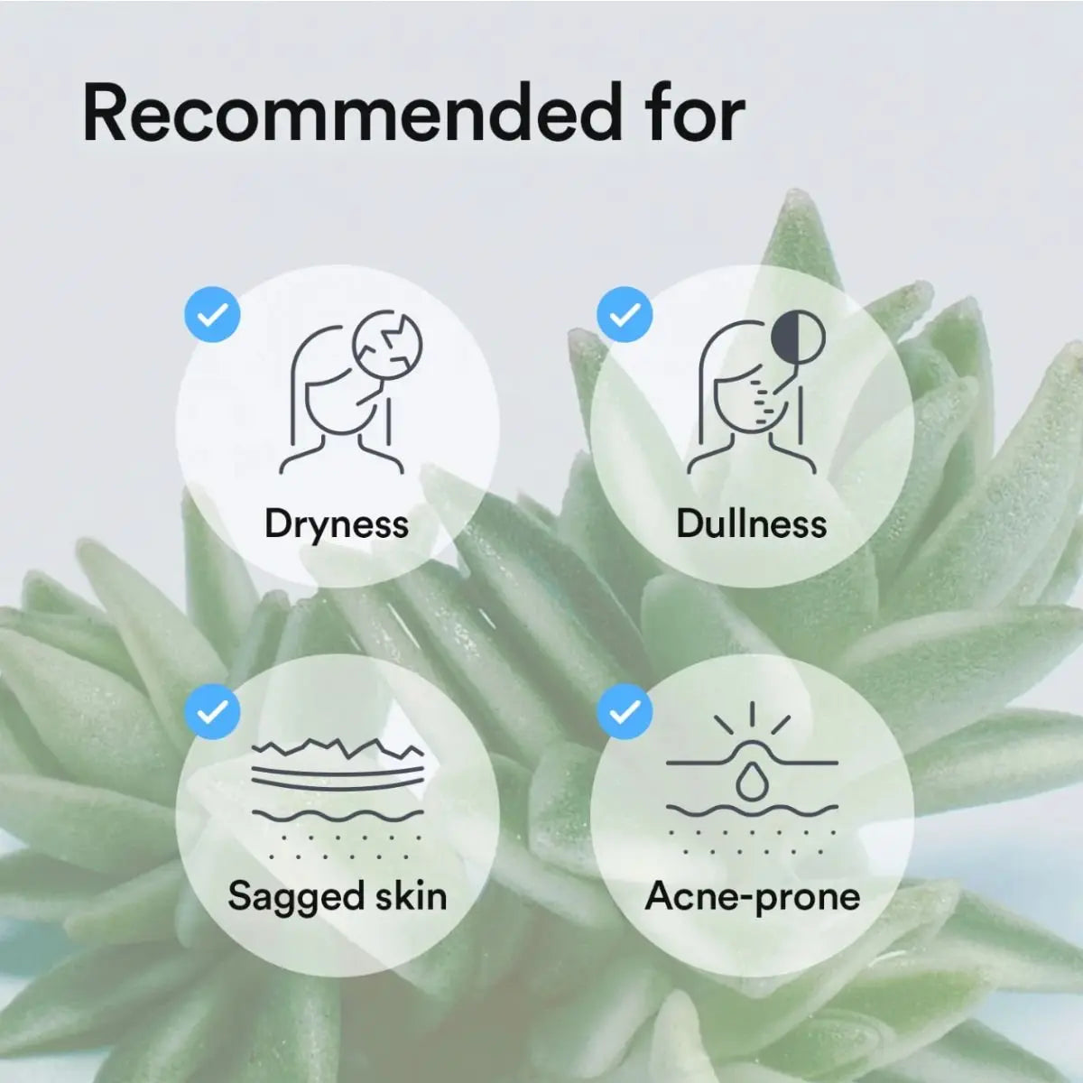 Collagen Gel Mask Sedum Jelly Abib