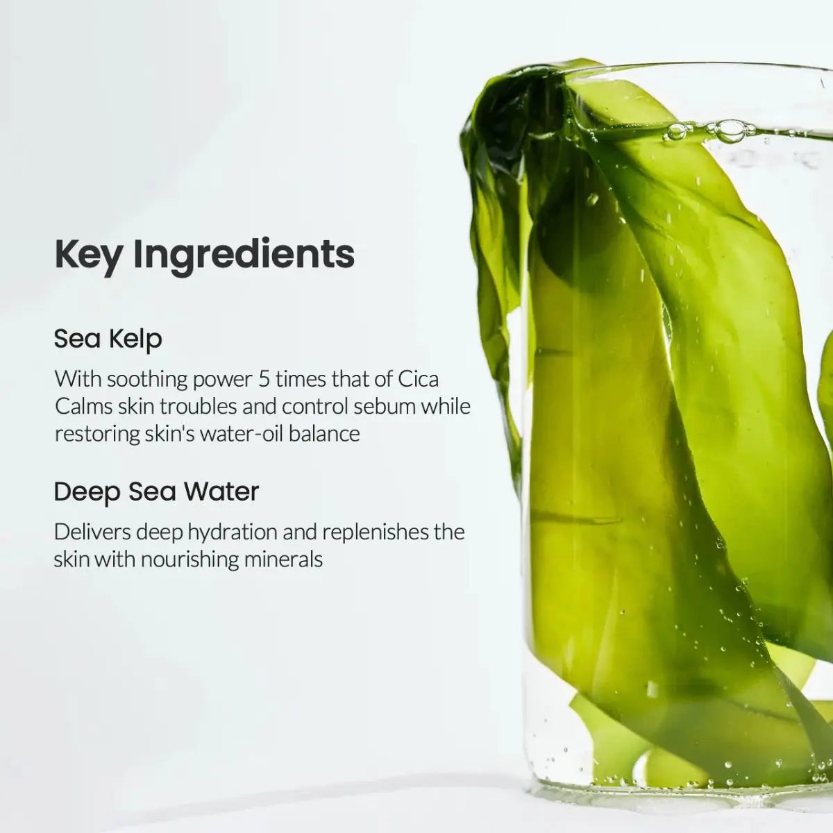 Refreshing Sea Kelp Real Deep Mask (4ea) Biodance