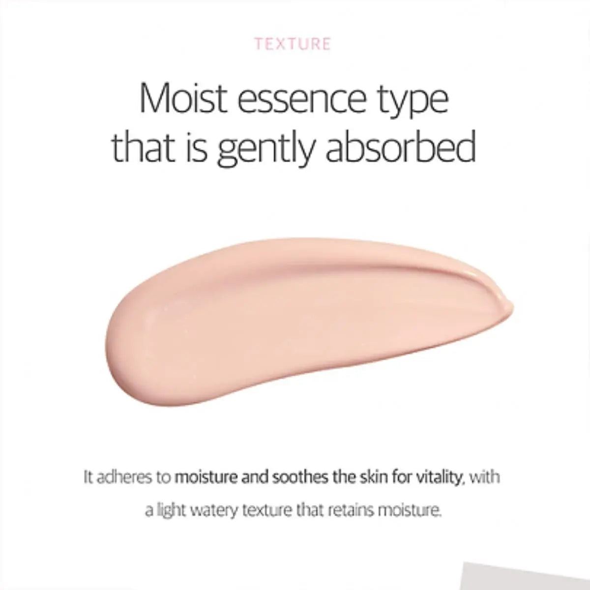 Birch Moisture Tone-Up Sunscreen 50mL Round Lab