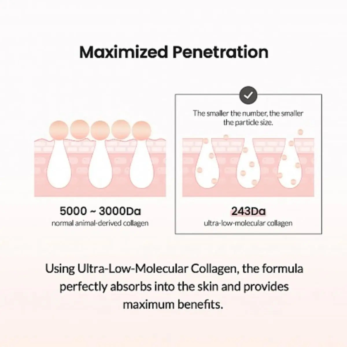 Pore Tightening Collagen Ampoule 50mL Biodance