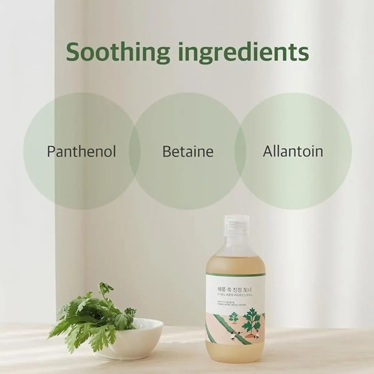 Mugwort Calming Toner 300mL Round Lab
