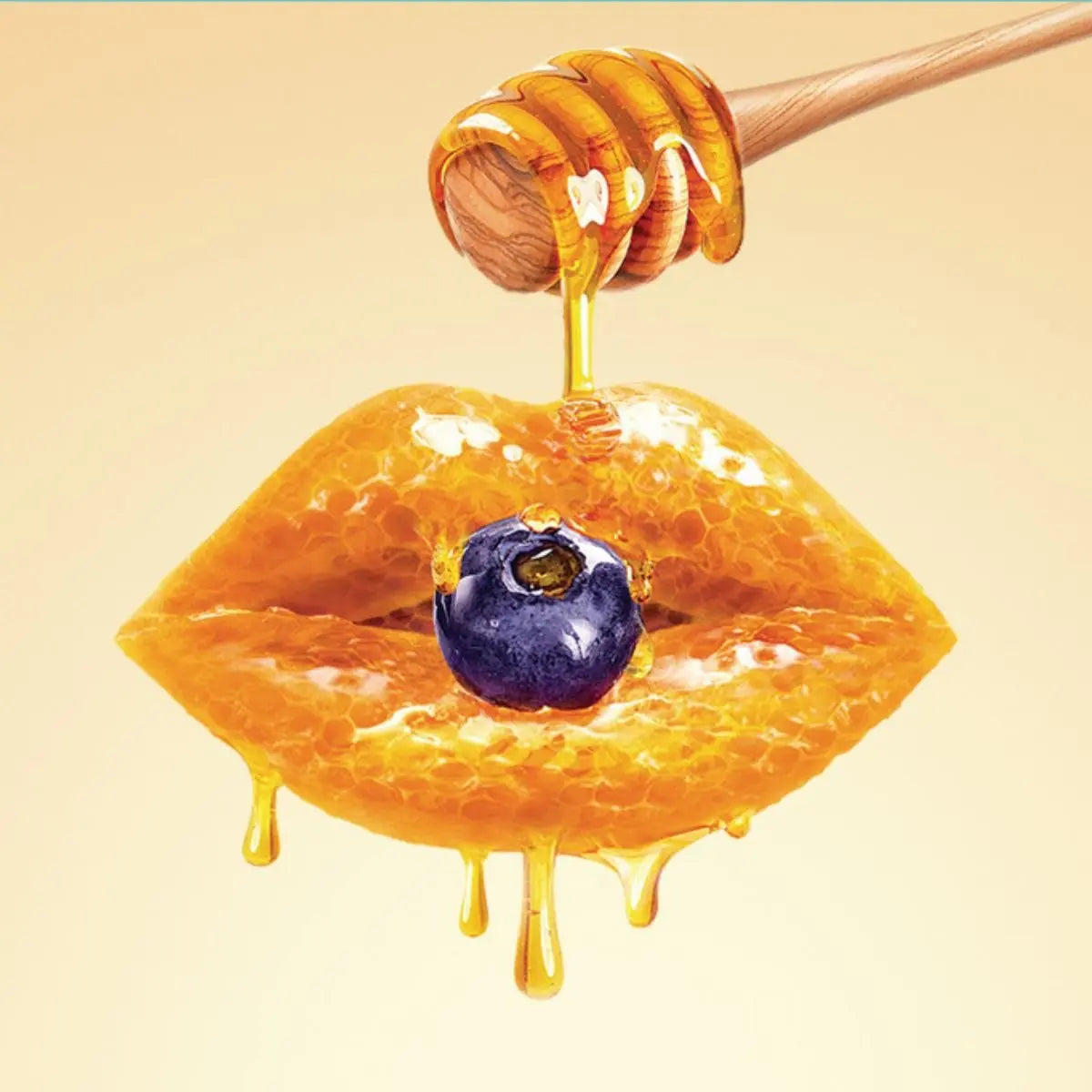 Blueberry Hydrating Honey Lip Balm 10g Frudia