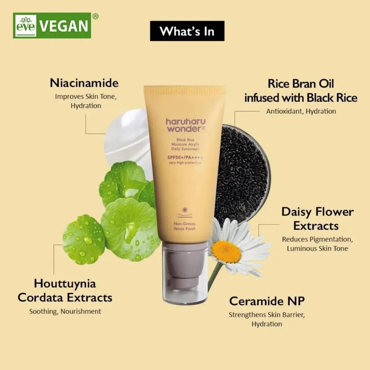 Black Rice Moisture Airyfit Daily Sunscreen 50mL Haruharu Wonder